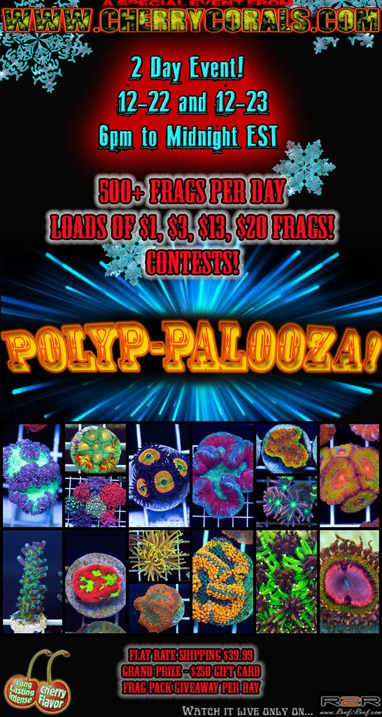 Polyppalooza2018.jpg