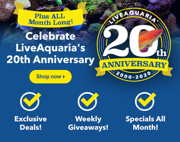 Anniversary Specials